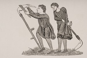 Serfs travaillant dans les champs avec des faux, d